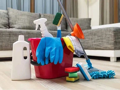 limpeza - foto 1